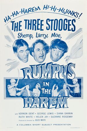 Rumpus in the Harem's poster