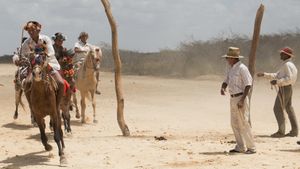 Birds of Passage's poster