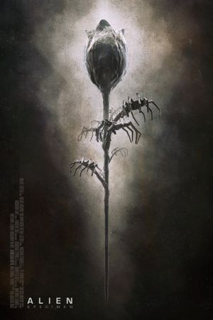 Alien: Specimen's poster image