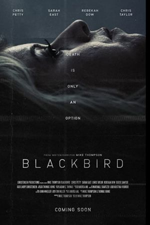 Blackbird's poster image