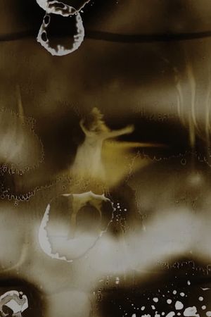 Wild Girl's poster