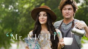 Mr. Right's poster