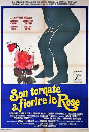 Son tornate a fiorire le rose's poster
