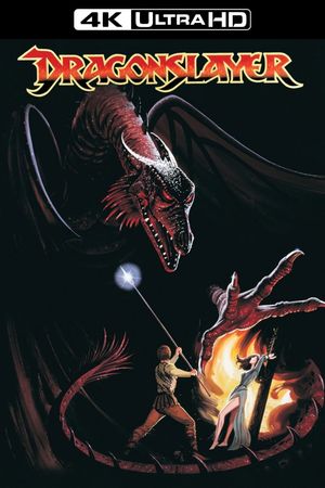 Dragonslayer's poster