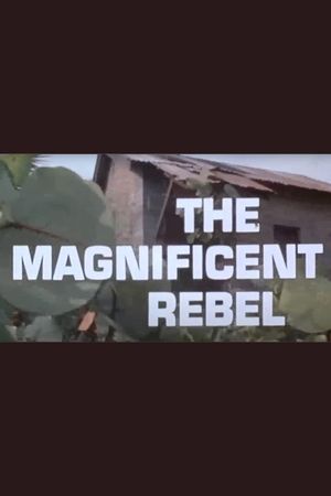 The Magnificent Rebel's poster