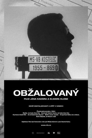 Obzalovaný's poster