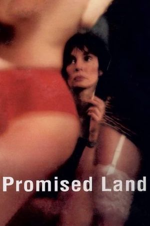 Promised Land's poster