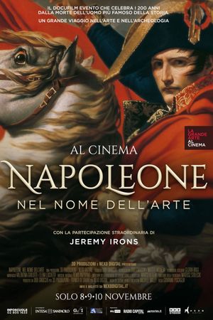 Napoleon: In the Name of Art's poster