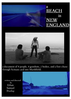 A Beach in New England's poster