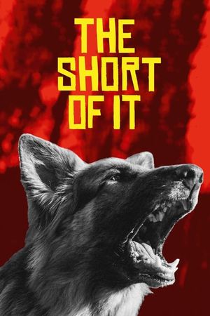 The Short of It's poster