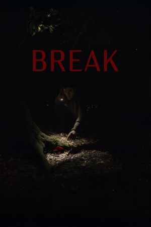 Break's poster