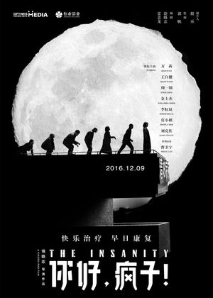 The Insanity's poster