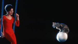 When the Cat Comes's poster