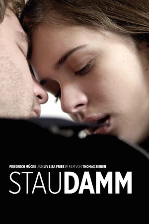 Staudamm's poster