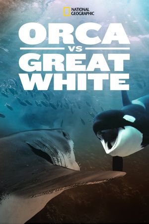 Orca vs. Great White's poster