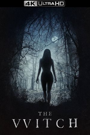 The Witch's poster