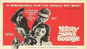 Nobody Waved Good-bye's poster