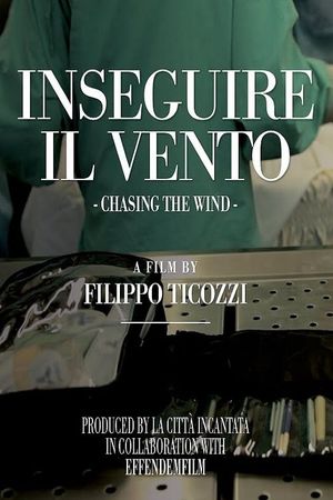 Inseguire il vento's poster