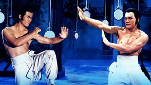 Invincible Shaolin's poster