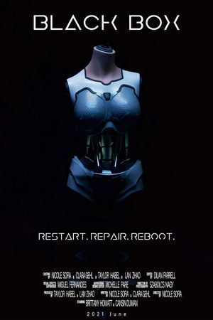 Black Box's poster