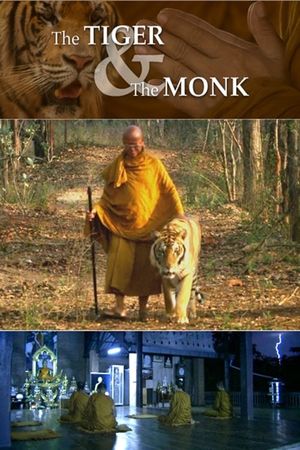 The Tiger and the Monk's poster