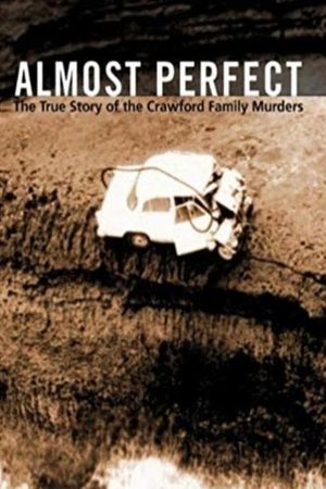 Almost Perfect's poster