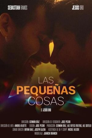 Las pequeñas cosas's poster