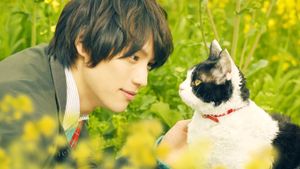 The Travelling Cat Chronicles's poster