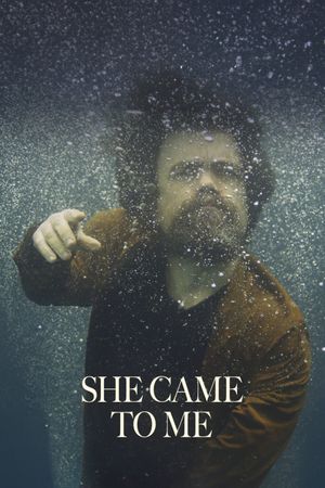 She Came to Me's poster
