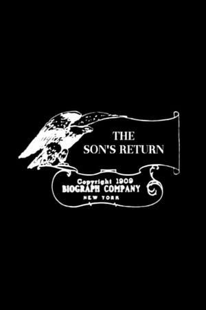 The Son's Return's poster