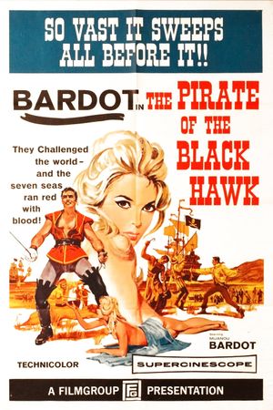 The Pirate of the Black Hawk's poster