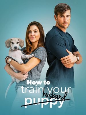 How to Train Your Husband or (How to Pick Your Second Husband First)'s poster