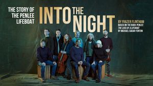 Into the Night's poster