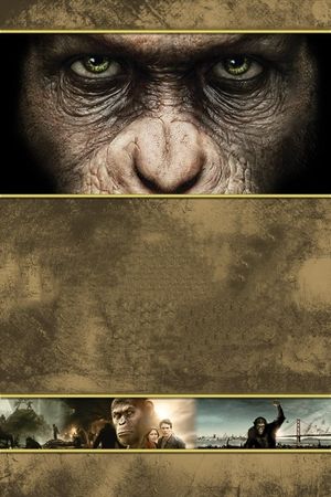 Rise of the Planet of the Apes's poster