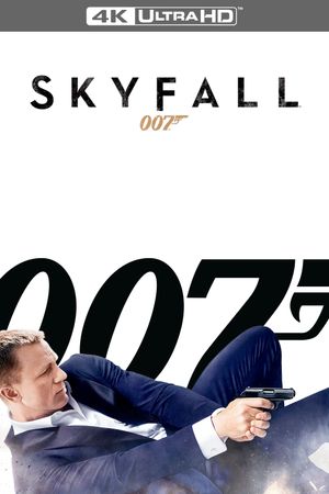 Skyfall's poster