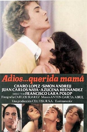 Goodbye Dear Mom's poster