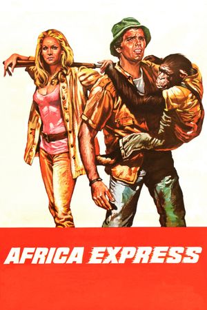 Africa Express's poster