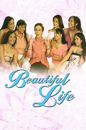 Beautiful Life's poster image