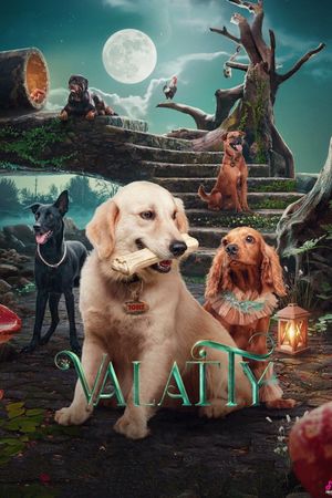 Valatty's poster