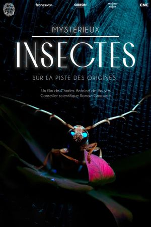 Mystérieux insectes, sur la piste des origines's poster