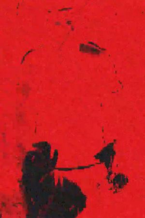 -Pursuit.VocaleE.: Post-Programmazione's poster