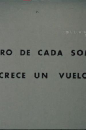 Dentro de Cada Sombra Crece un Vuelo's poster