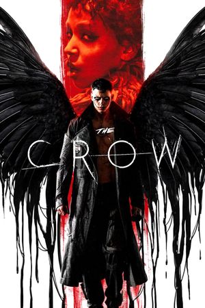 The Crow's poster