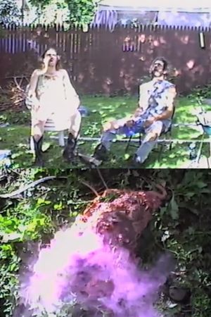 Lawn Peeple's poster
