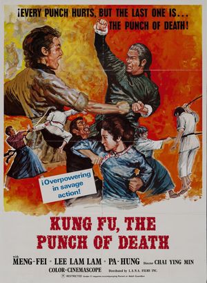Kung Fu: The Punch of Death's poster