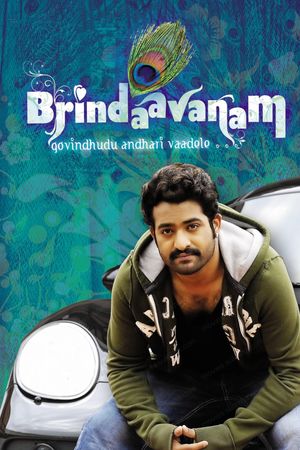 Brindaavanam's poster