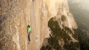 The Dawn Wall's poster