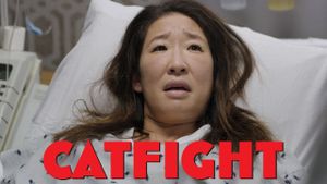 Catfight's poster