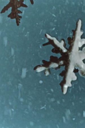 Melting Snow's poster