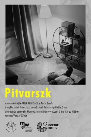 Pitvarszk's poster